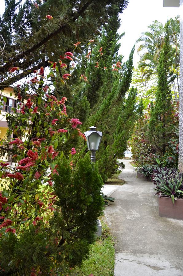 Hotel Girassol