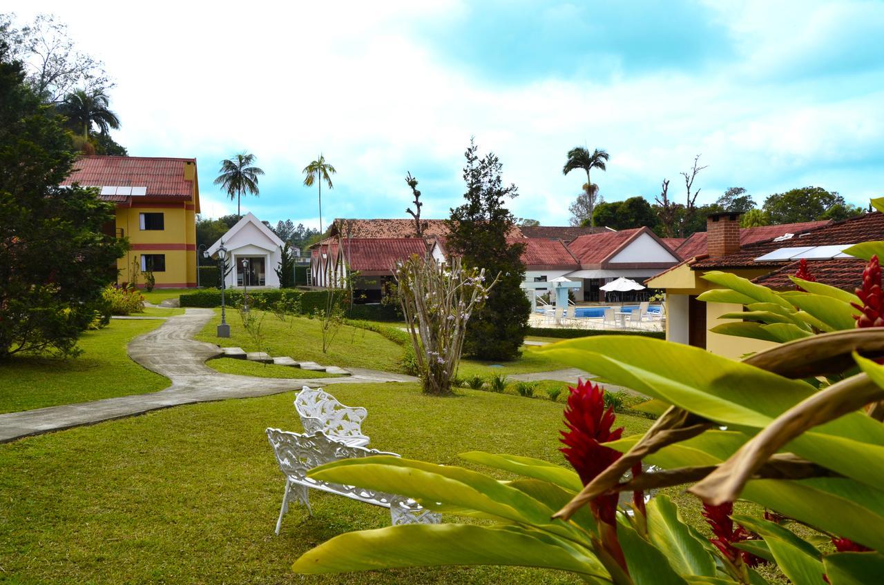Girassol Penedo (Rio de Janeiro)