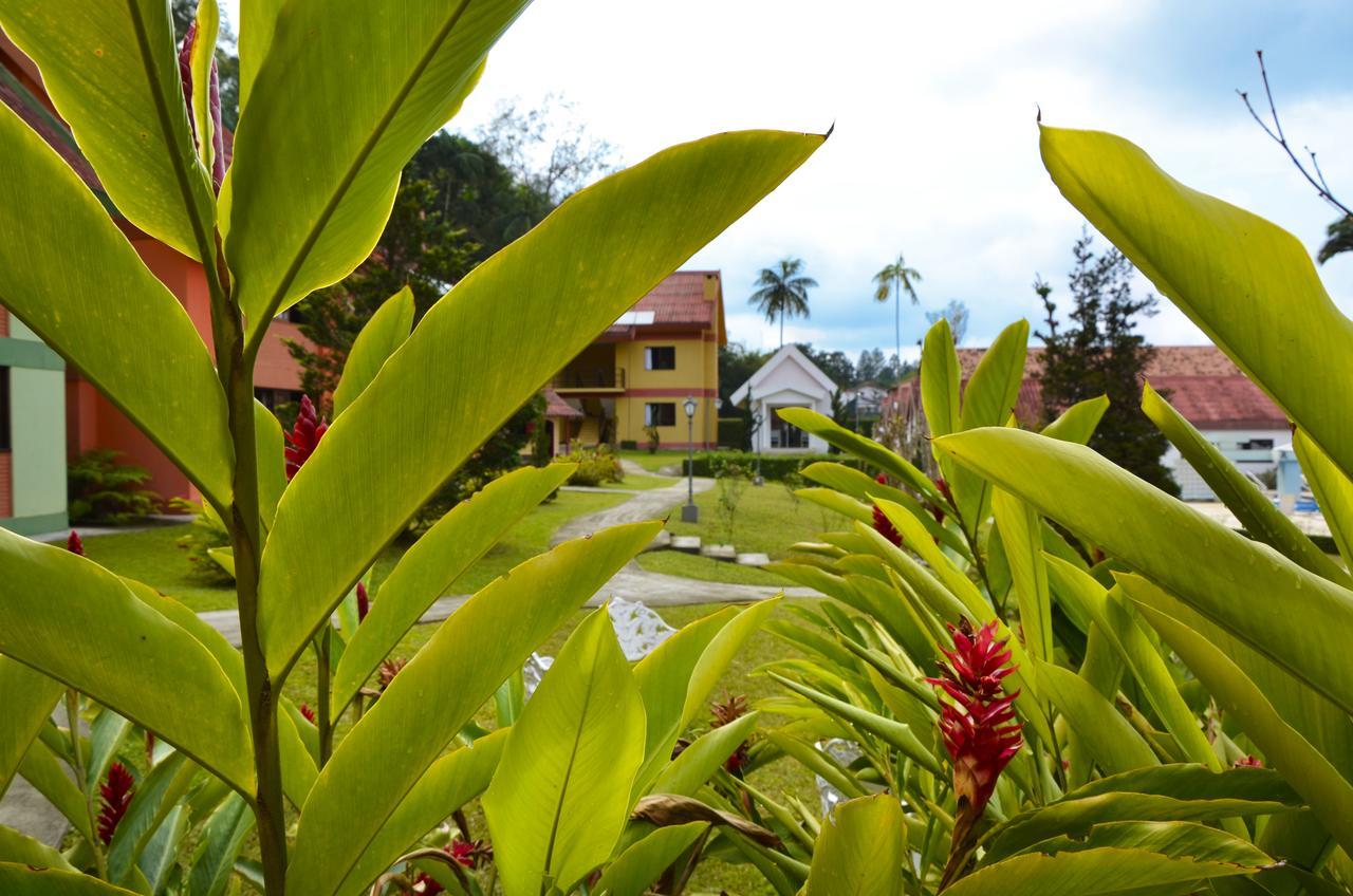Girassol Hotel Penedo (Rio de Janeiro)